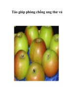 Táo giúp phòng chống ung thư vú pdf