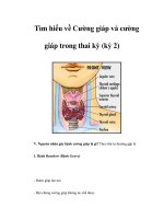 Tìm hiểu về Cường giáp và cường giáp trong thai kỳ (kỳ 2) pot