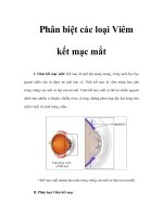 Phân biệt các loại Viêm kết mạc mắt ppt