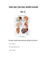 VIÊM NỘI TÂM MẠC NHIỄM KHUẨN (Kỳ 3) pdf