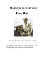 Pháp khí và ứng dụng trong Phong Thuỷ pot