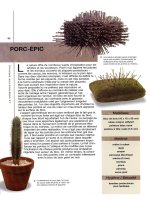 Nghệ thuật điêu khắc - Phần 8 potx