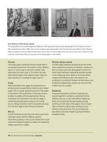 The Fundamentals of Graphic Design- P7 ppt