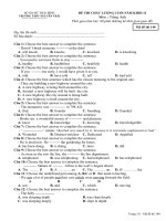 Đề thi Tiếng Anh 12 cb cuối năm 08-09