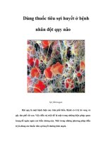 Dùng thuốc tiêu sợi huyết ở bệnh nhân đột qụy não pps