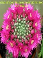 trung du miền núi bắc bộ