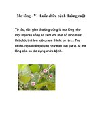 Mơ lông - Vị thuốc chữa bệnh đường ruột ppt