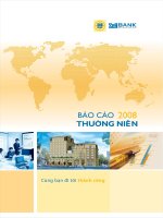báo cáo thường niên 2008 ngân hàng đông nam á seabank cùng bạn đi tới thành công