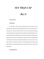 SUY THẬN CẤP (Kỳ 1) pptx