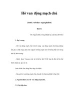 Hở van động mạch chủ (Aortic valvular regurgitation) (Kỳ 1) pps