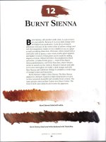 Color mixing the van wyk way - Phần 6 pdf