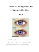 Viêm kết mạc mắt: Nguyên nhân, điều trị và phòng tránh lây nhiễm (Kỳ 2) potx