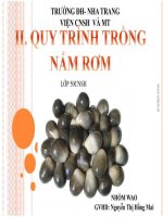 Thuyết trình nhóm   phần II quy trình trồng nấm rơm