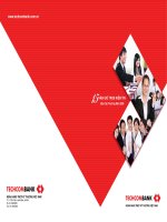 báo cáo thường niên năm 2008 ngân hàng techcombank