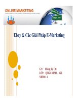 thuyết trình ebay và  các giải pháp emarketing