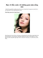 Rực rỡ đầu xuân với những gam màu nồng nàn pdf