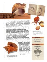 Nghệ thuật điêu khắc - Phần 2 pdf