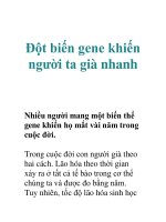 Đột biến gene khiến người ta già nhanh pps