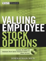 Valuing Employee Stock Options Part 1 pptx