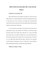 phân tích ngành & đối thủ cạnh tranh (phần 2)