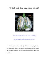 Tránh mối hoạ suy giảm trí nhớ pot