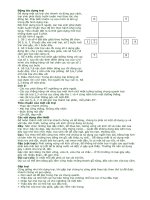 Kỹ thuật cắm trại hè