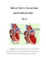 Điều trị Viêm Cơ Tim tuỳ thuộc nguyên nhân gây bệnh (Kỳ 1) potx