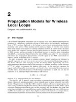 Wireless địa phương vòng - lý thuyết và ứng dụng P2 ppsx