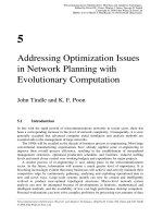 Tối ưu hóa viễn thông và thích nghi Kỹ thuật Heuristic P5 pptx