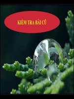 thiên nhiên phân hoá đa dạng