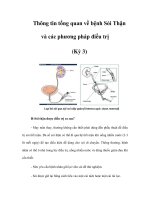 Thông tin tổng quan về bệnh Sỏi Thận và các phương pháp điều trị (Kỳ 3) pps