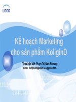 kê hoạch marketing cho sản phẩm koligind