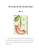 Sỏi túi mật, khi nào cần phẫu thuật? (Kỳ 1) pdf
