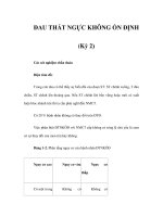 ĐAU THẮT NGỰC KHÔNG ỔN ĐỊNH (Kỳ 2) pdf