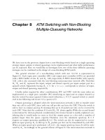 Chuyển đổi lý thuyết P8 doc