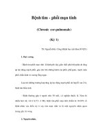 Bệnh tim - phổi mạn tính (Chronic cor-pulmonale) (Kỳ 1) pot