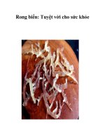 Rong biển: Tuyệt vời cho sức khỏe pps