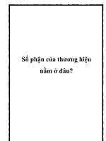 số phận của thương hiệu nằm ở đâu