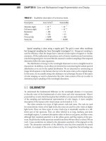 The Essential Guide to Image Processing- P7 pot