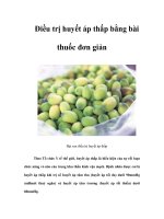 Điều trị huyết áp thấp bằng bài thuốc đơn giản pdf