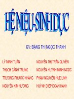 Thuyết trình Hệ niệu sinh dục