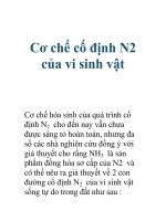 Cơ chế cố định N2 của vi sinh vật potx