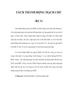 TÁCH THÀNH ĐỘNG MẠCH CHỦ (Kỳ 1) docx