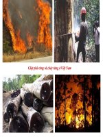 tư liệu về môi trường