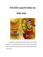 Tìm hiểu nguyên nhân suy thận mạn potx