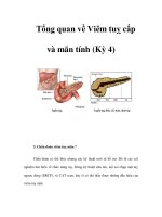 Tổng quan về Viêm tuỵ cấp và mãn tính (Kỳ 4) potx