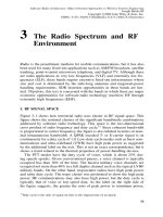 Kiến trúc phần mềm Radio P3 pdf