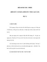 HỒI SINH TIM - PHỔI (HỒI SỨC CƠ BẢN, HỒI SỨC TIM CAO CẤP) (Kỳ 1) doc