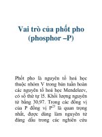 Vai trò của phốt pho (phosphor –P) ppsx