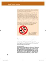 The Adobe Photoshop Layers Book- P3 pdf